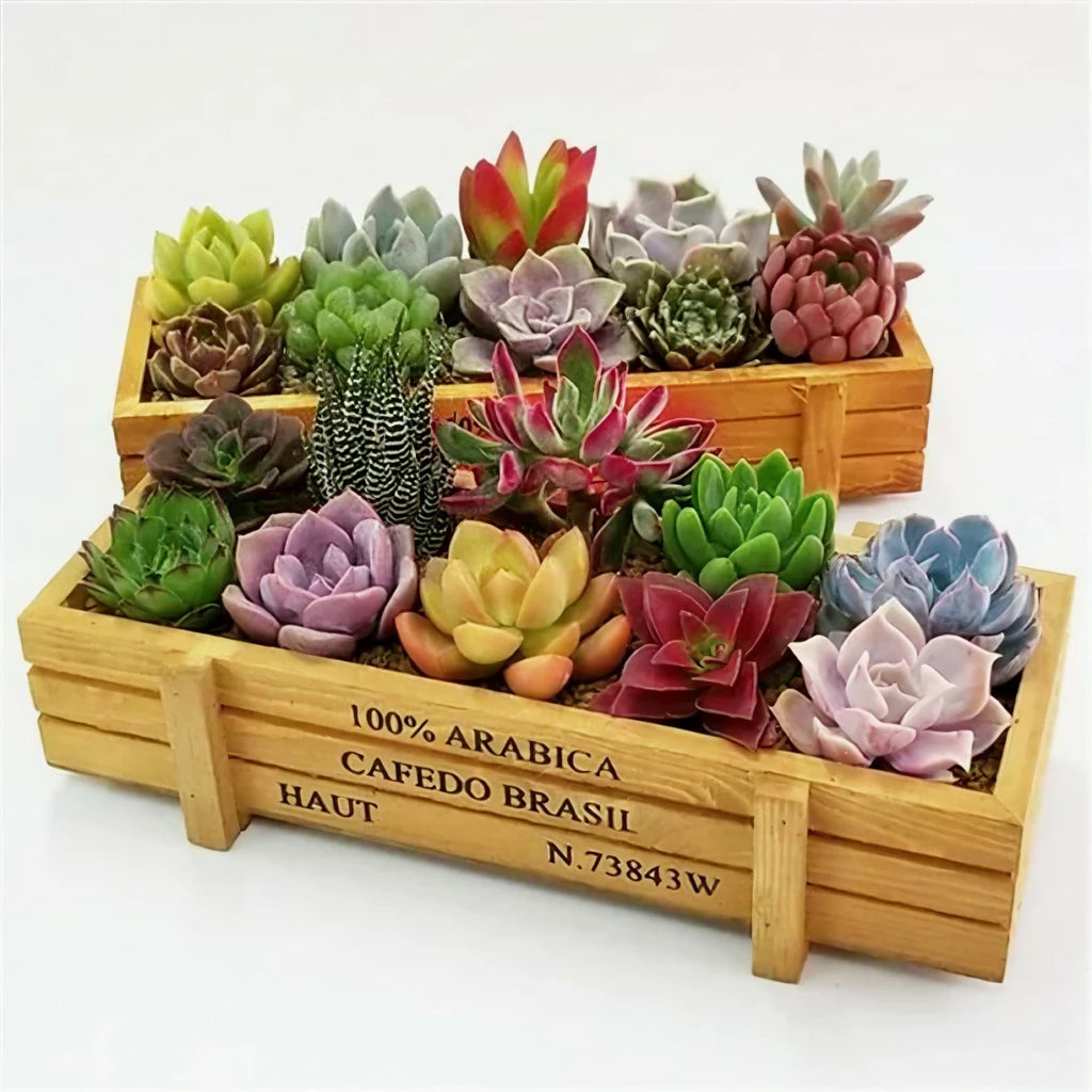 Vintage Wooden Rectangular Planter Box | Charming Home Decor Vintage Wooden Rectangular Planter Box | Charming Home Decor