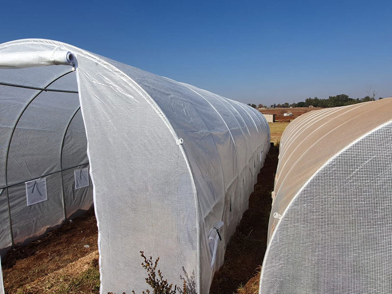 Greenhouse Tunnel - 12m