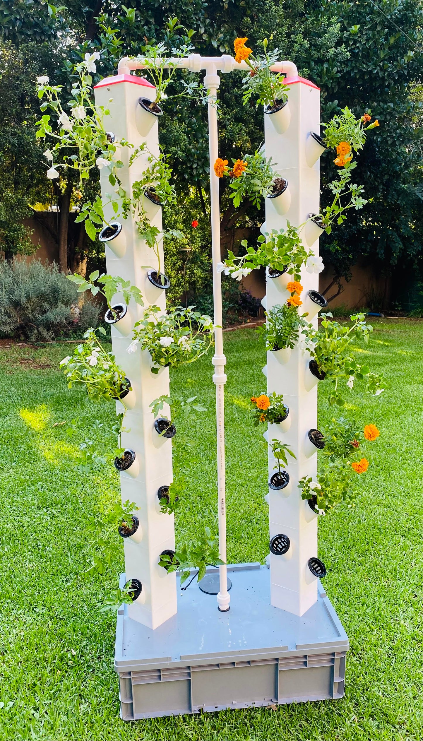 Vertical hydroponic Grow Kit 56 Hole System