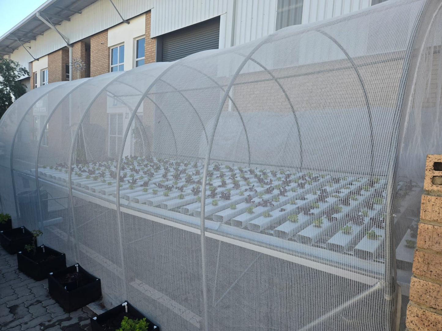 Greenhouse Tunnel - 6m