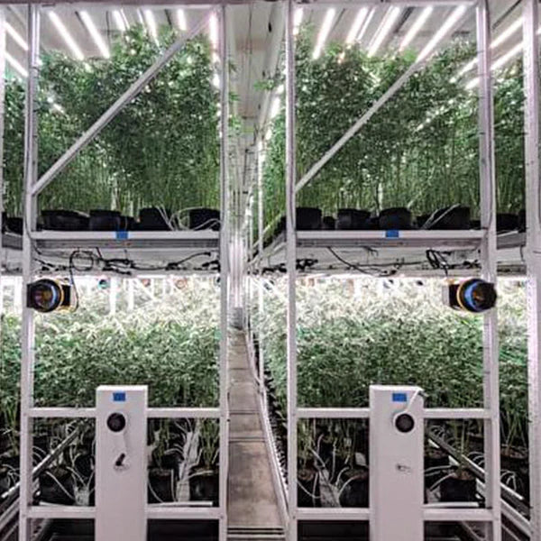 800W Full Spectrum Samsung 281B LED Grow Light (DEMOUNTABLE)