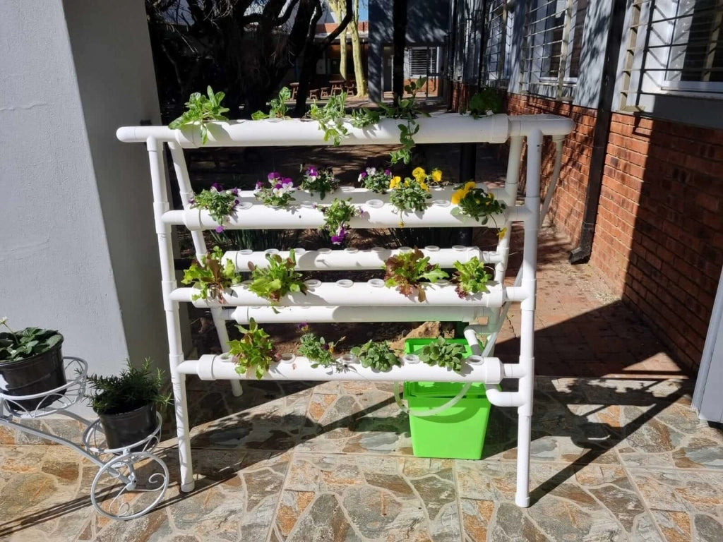 Hydroponic Grow Kit 72 Hole System