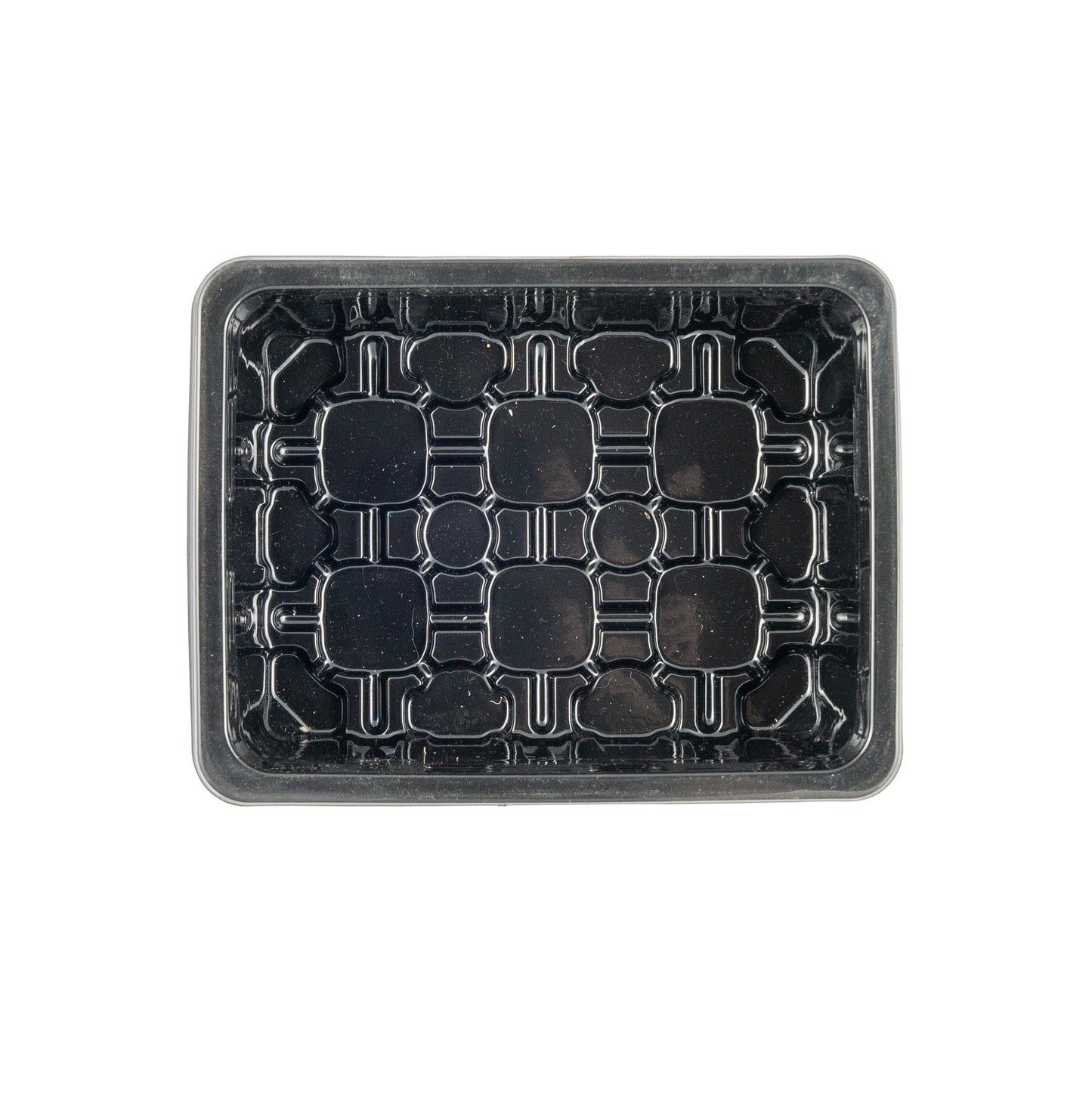 Garden Seedling Planting Tray