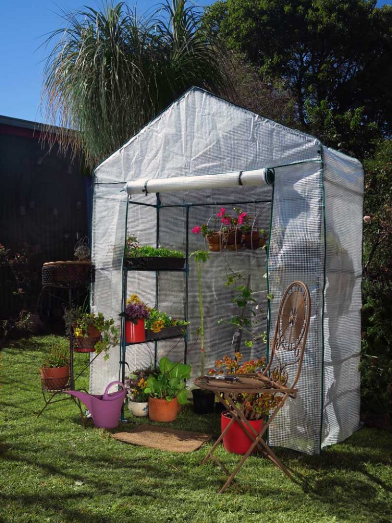 4 Shelf Greenhouse