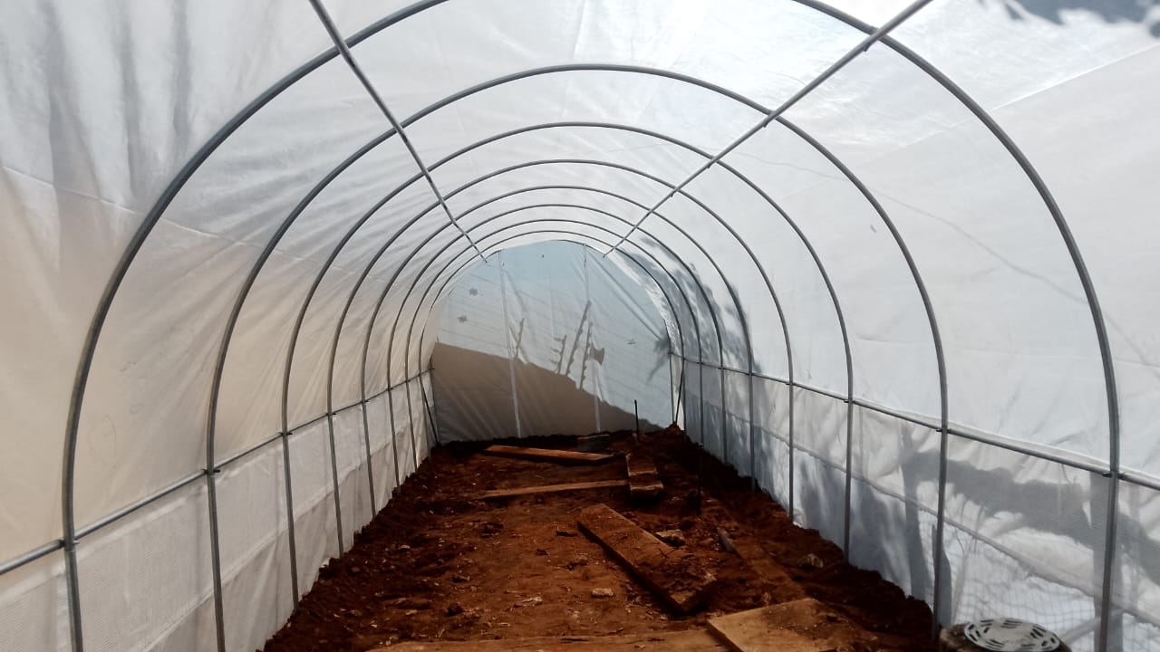 Greenhouse Tunnel - 10m