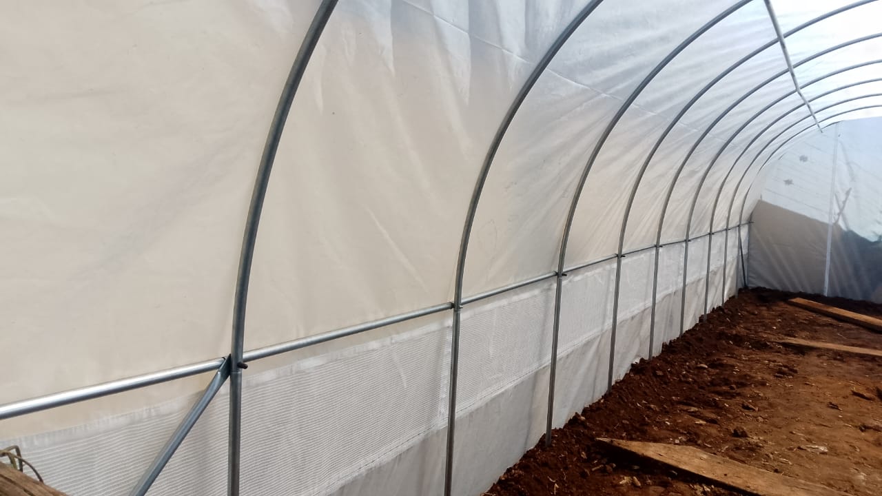 Greenhouse Tunnel - 10m