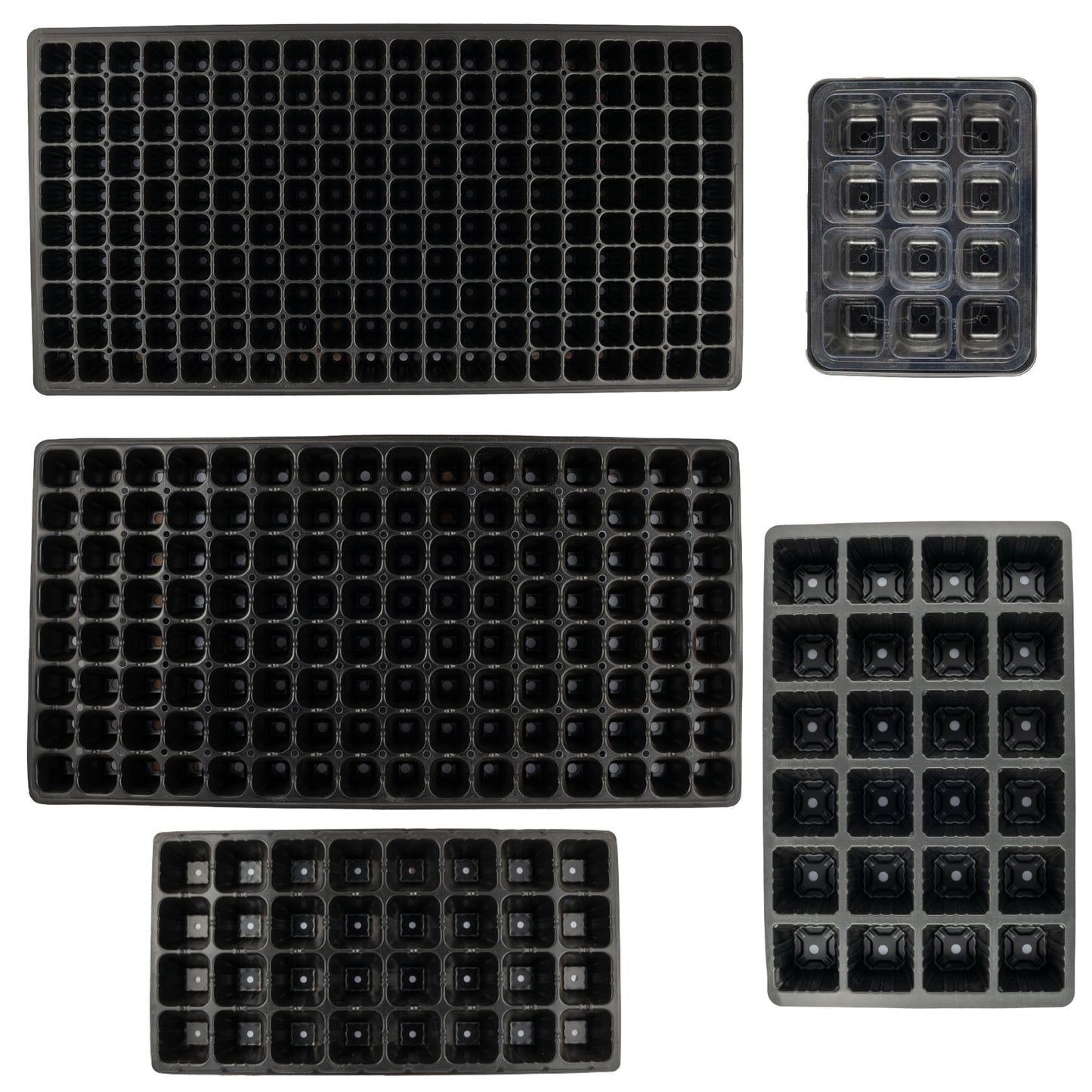 Garden Seedling Planting Tray