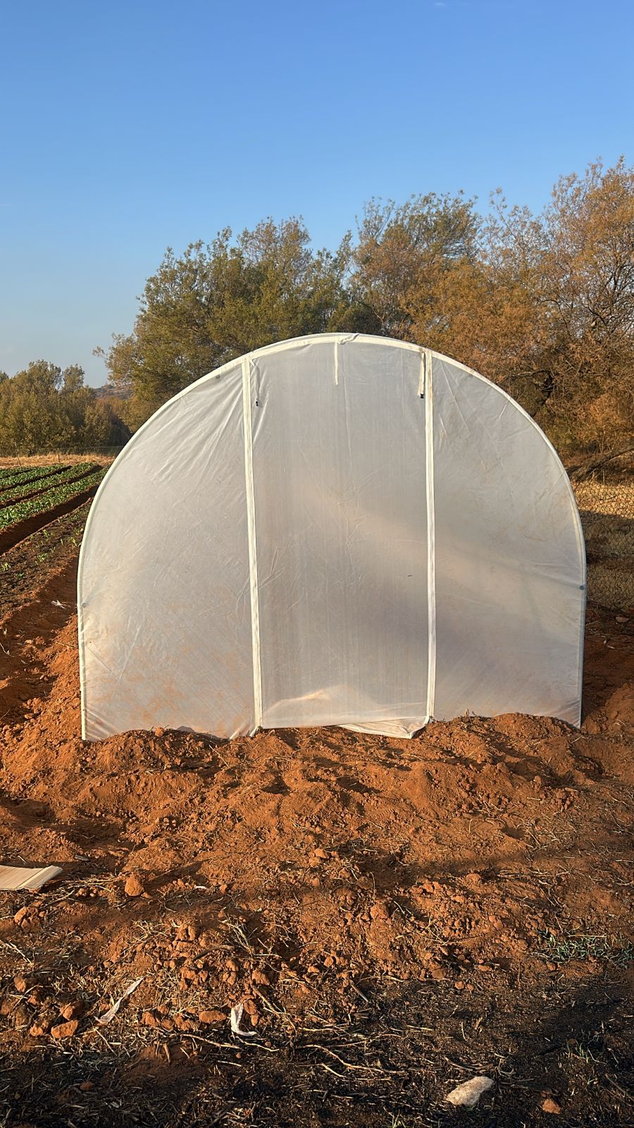 Greenhouse Tunnel - 12m