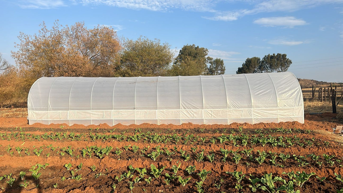 Greenhouse Tunnel - 12m