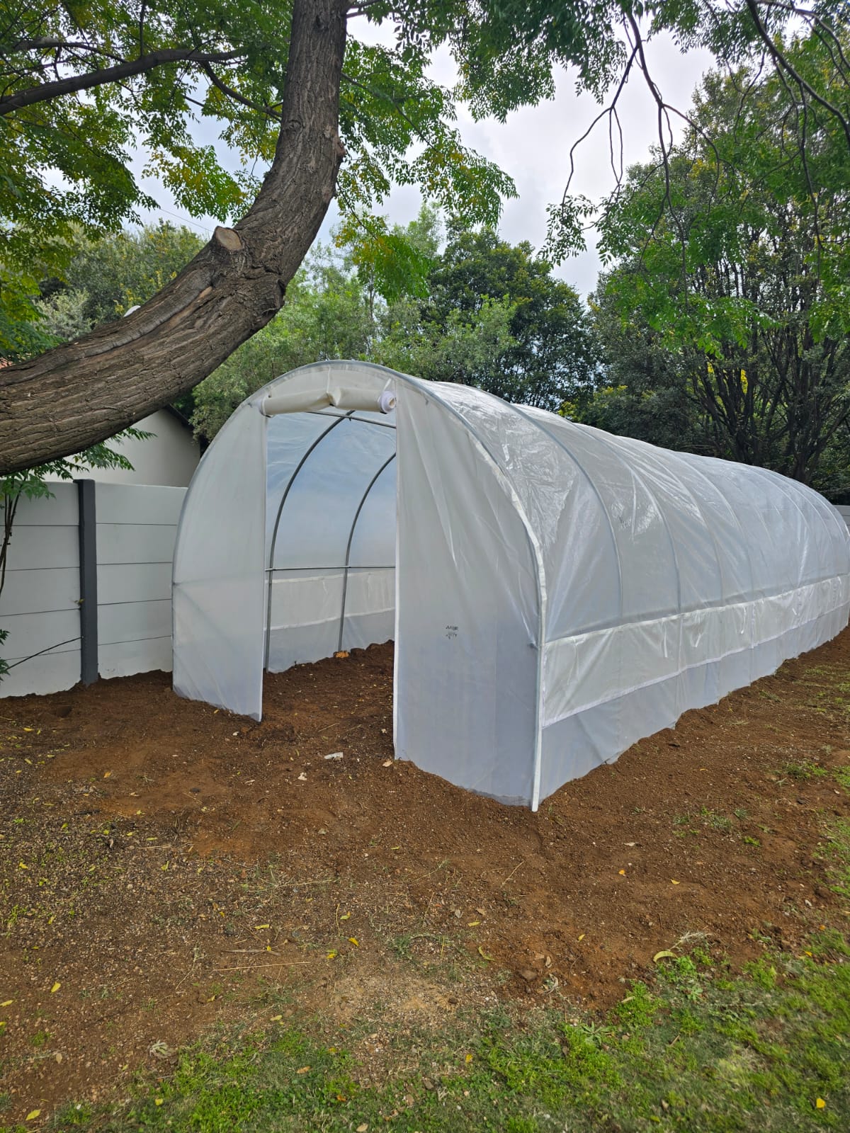 Greenhouse Tunnel - 10m