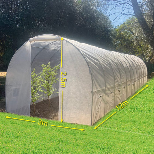Greenhouse Tunnel - 12m