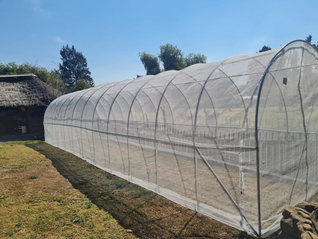 Five things South African home growers get wrong about greenhouse tunnels