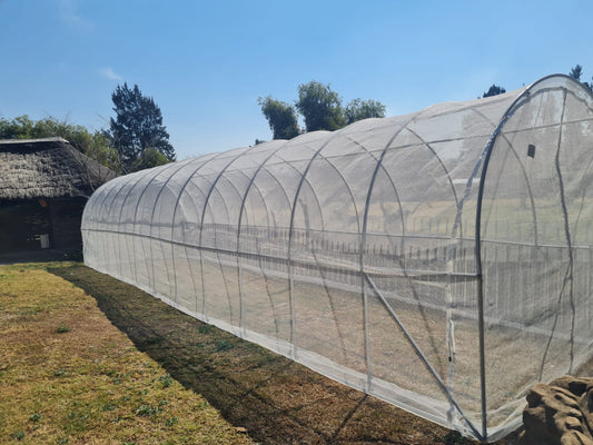 Five things South African home growers get wrong about greenhouse tunnels