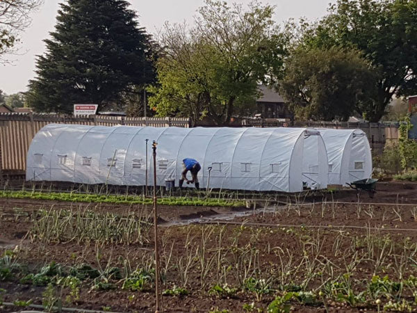 Greenhouse Tunnel - 10m