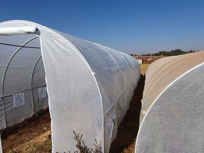 Greenhouse Tunnel - 12m