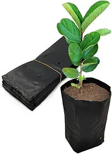 Heavy-Duty Nursery Planting Bags — 100% Virgin Material (Pack of 25)