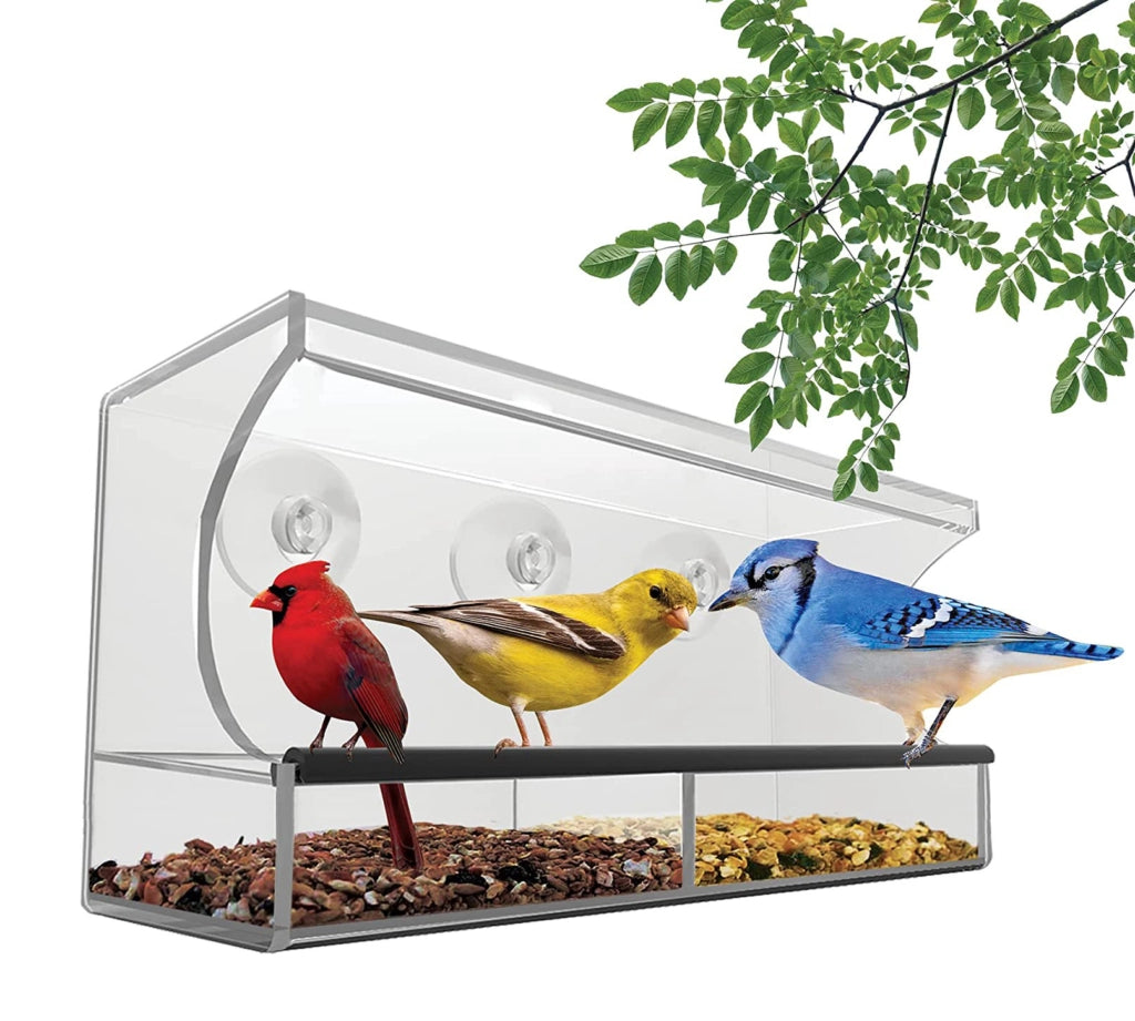 Outdoor Window Bird Feeder