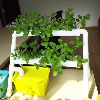 Hydroponic Step Down Tiered Growing System