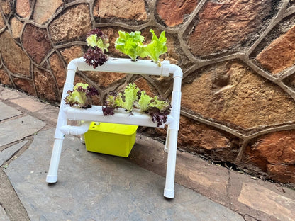 Hydroponic Step Down Tiered Growing System