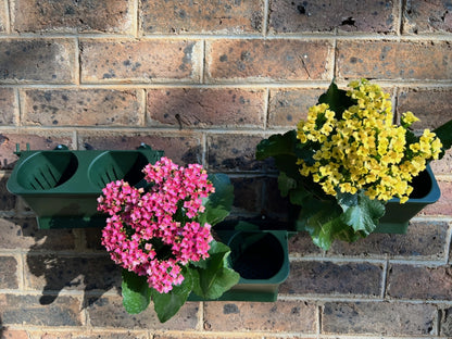 Vertical Garden, Double Hanging Wall Pot