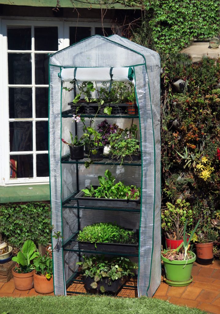 5 Shelf Greenhouse