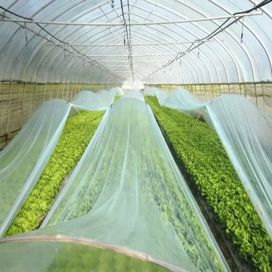 Frost Cover. Sold per running meter. Width is 2.4m.