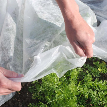 Frost Cover. Sold per running meter. Width is 2.4m.