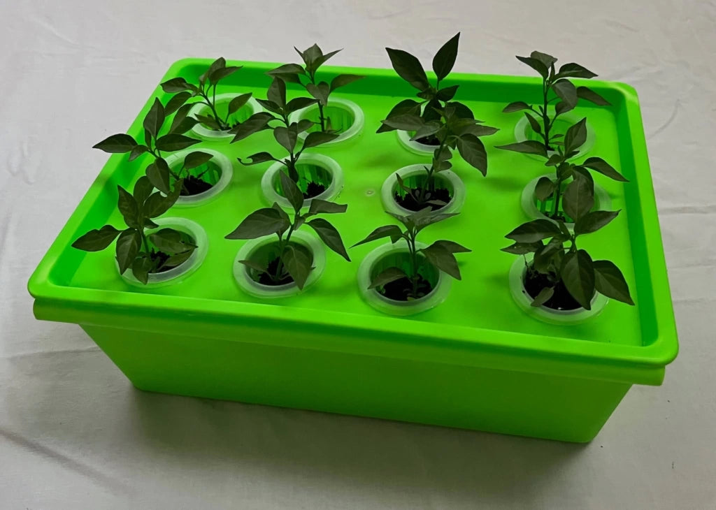 Hydroponic Herb Garden Bath