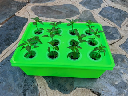 Hydroponic Herb Garden Bath