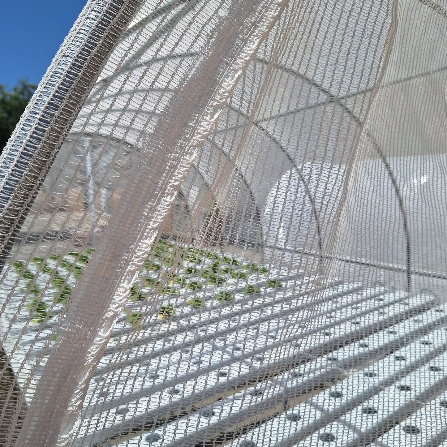 Bell and Paton 40% Shade Net tunnels. Frame with a Fitted, 40% Shade Net
