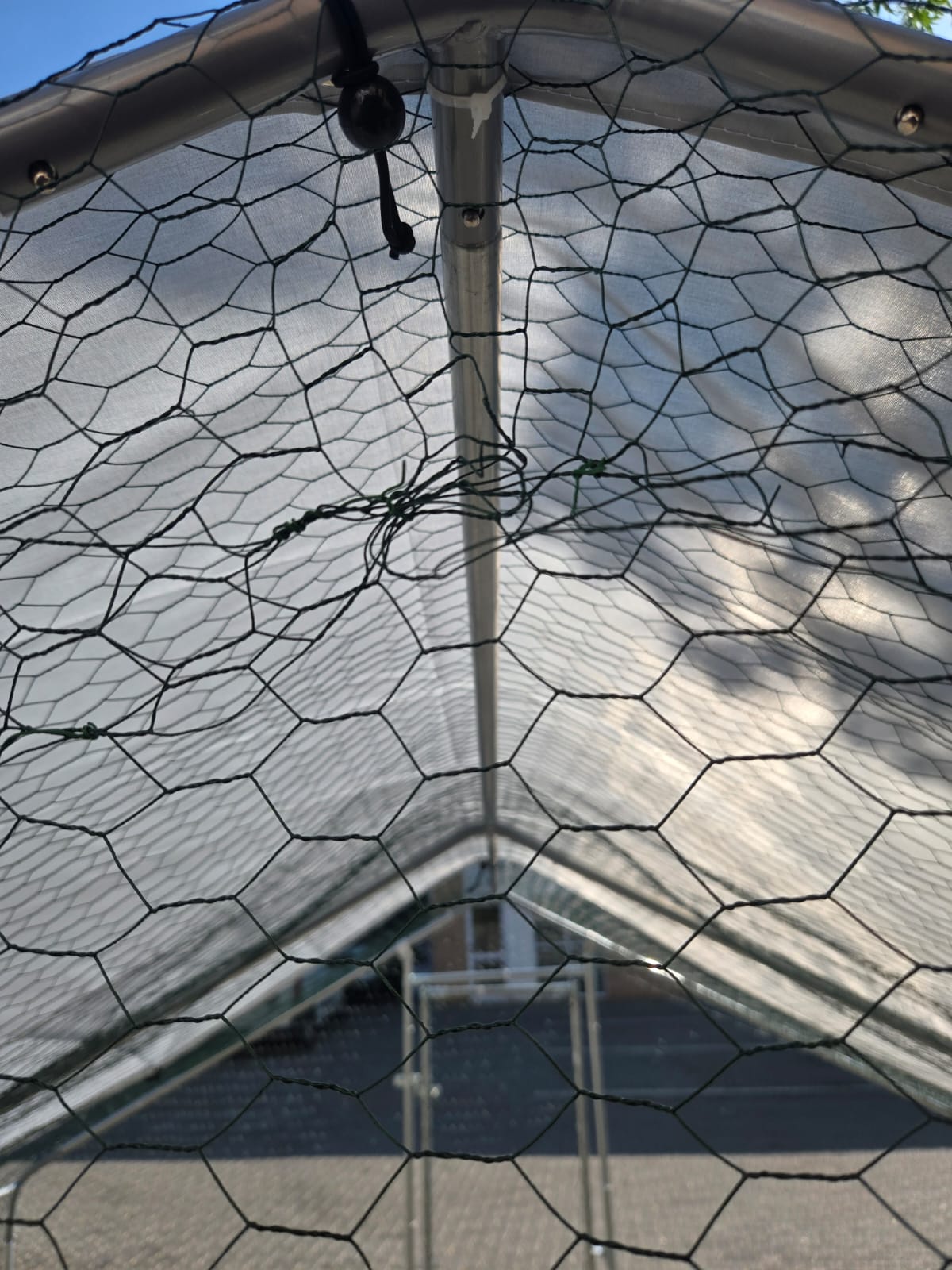 Bell & Paton Walk-In Chicken Coop