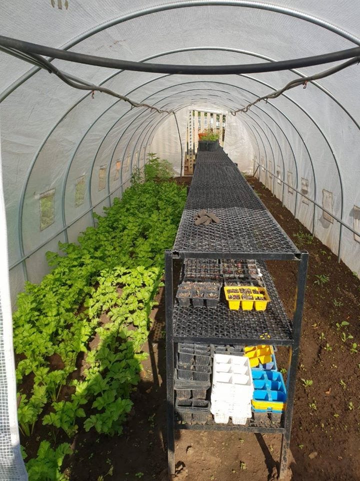 Greenhouse Tunnel - 10m