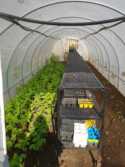 Greenhouse Tunnel - 10m