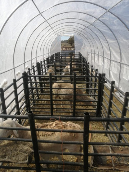 Greenhouse Tunnel - 12m