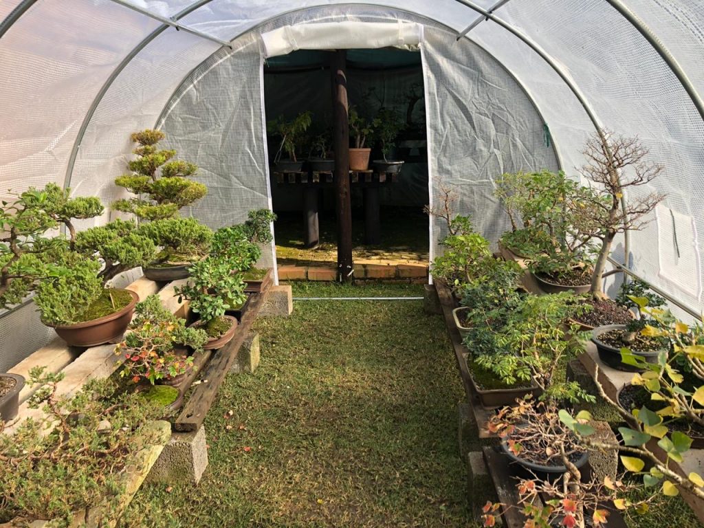 Greenhouse Tunnel - 4m