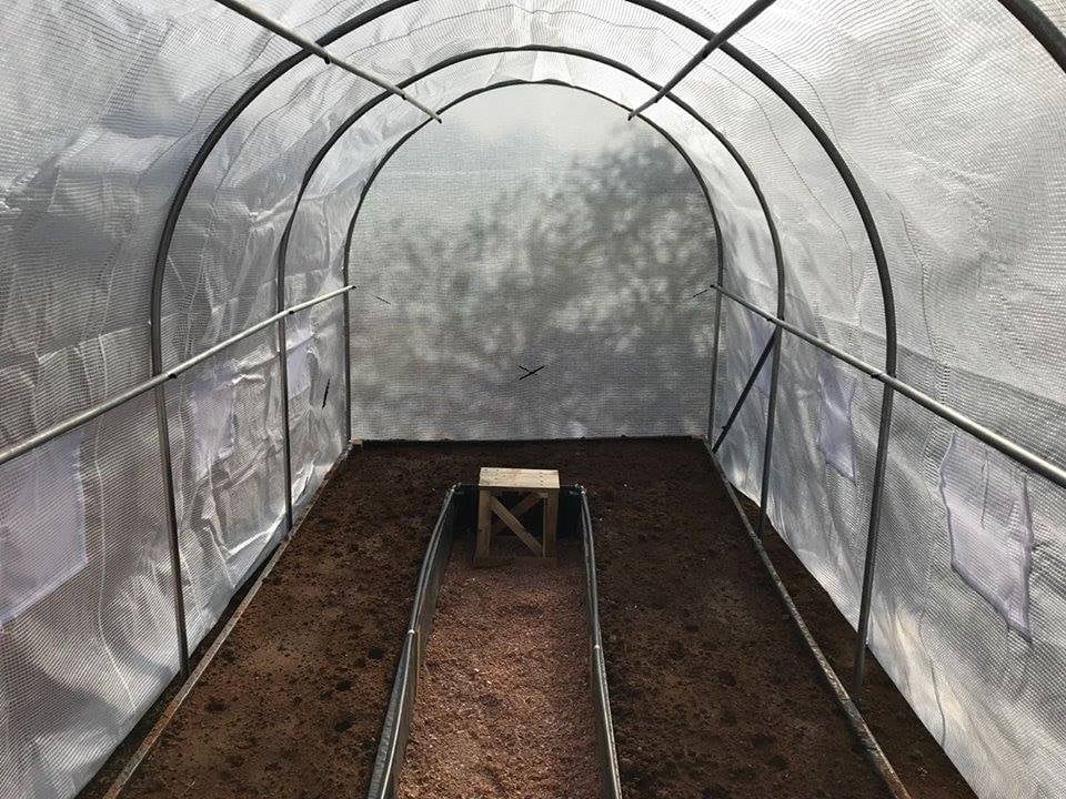 Greenhouse Tunnel - 6m