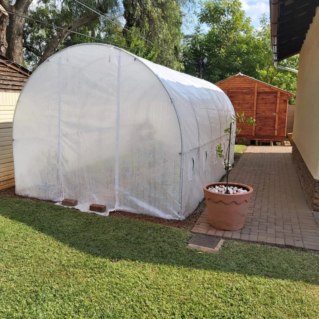 Greenhouse Tunnel - 6m