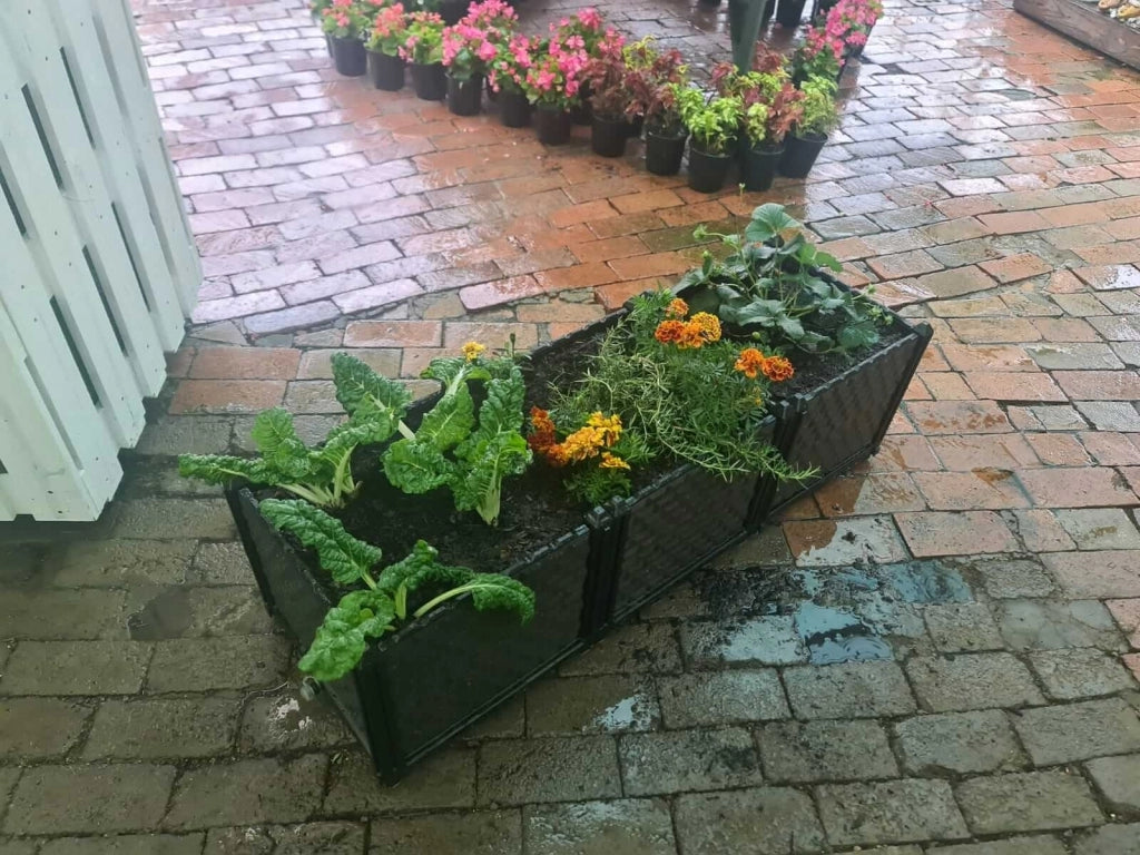 Raised Garden Planter Boxes