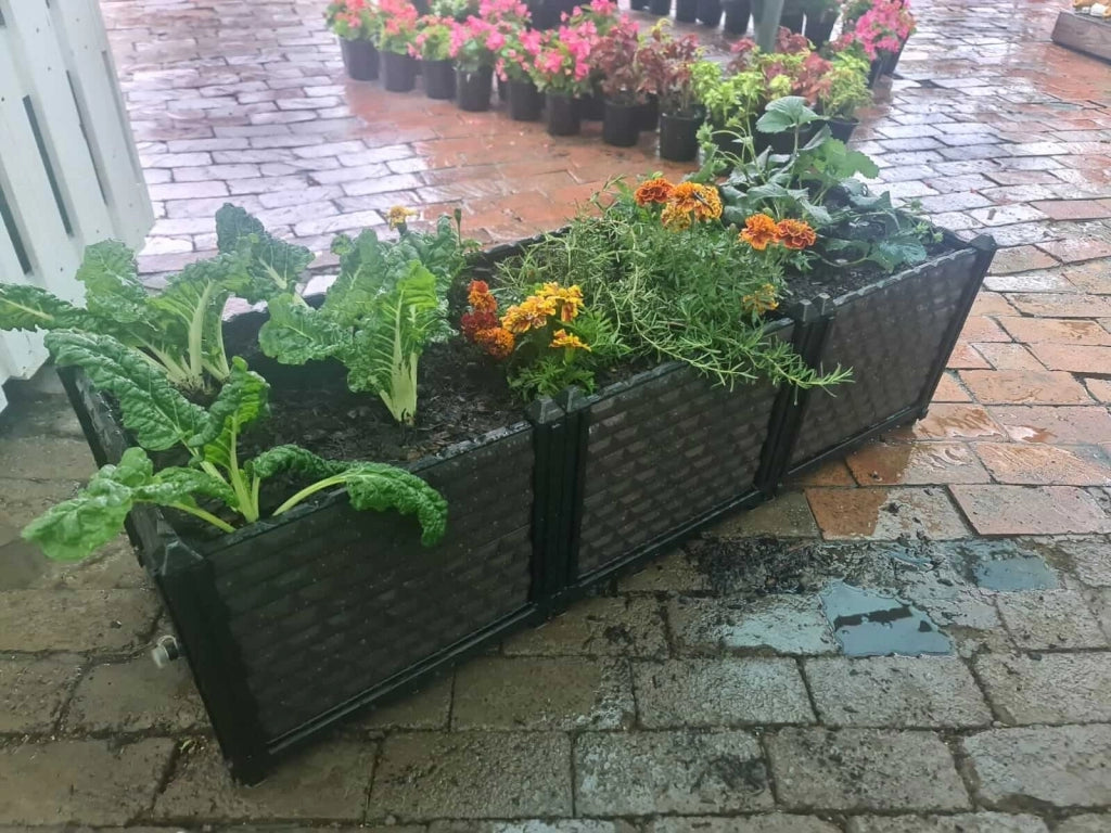 Raised Garden Planter Boxes