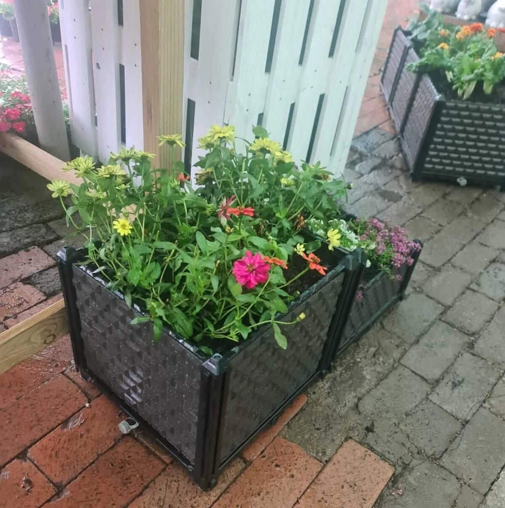 Raised Garden Planter Boxes