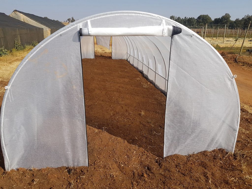 Greenhouse Tunnel - 10m