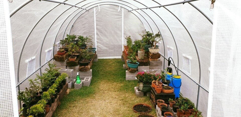 Greenhouse Tunnel - 6m